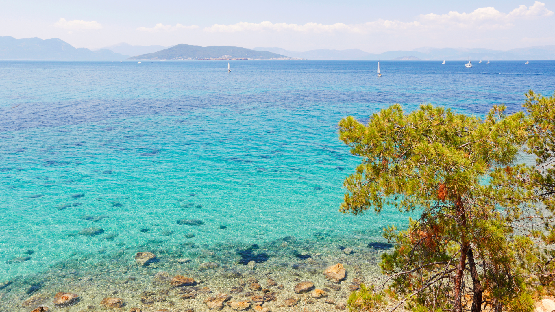 T-08 Κρουαζιέρα για Μπάνιο: Αγκίστρι & Μονή